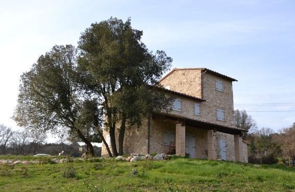Agriturismo Surripa Amelia Eksteriør billede